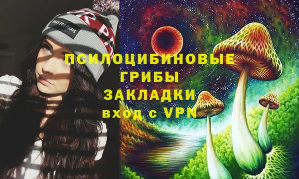 мдма Богданович