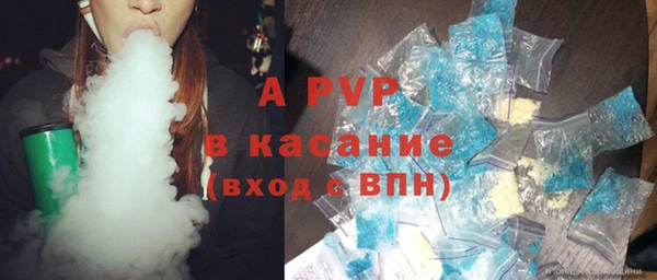 амф Бородино